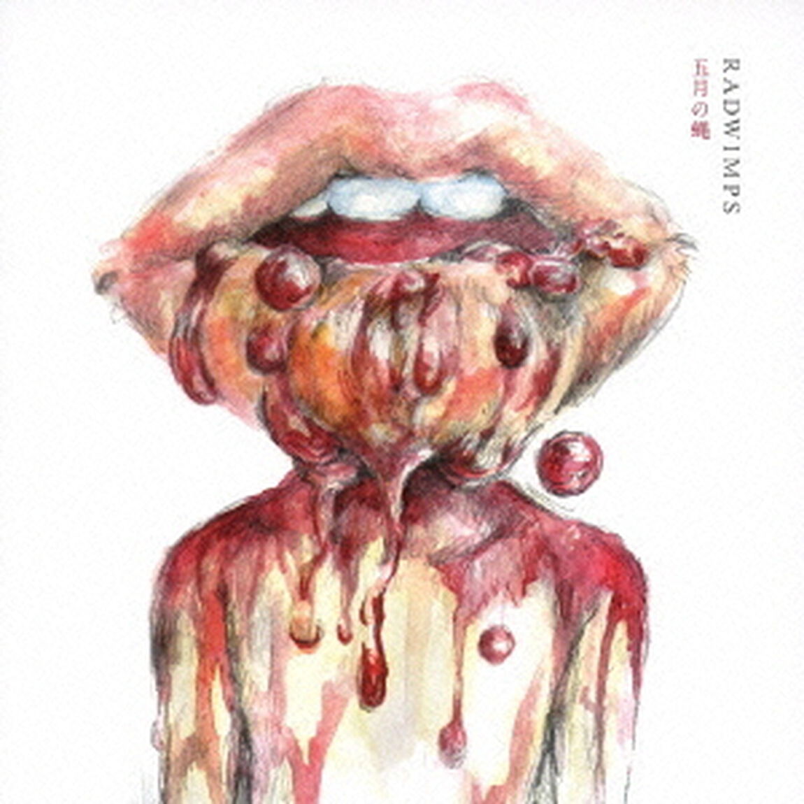 五月の蝿／ラストバージン（ＣＤ）