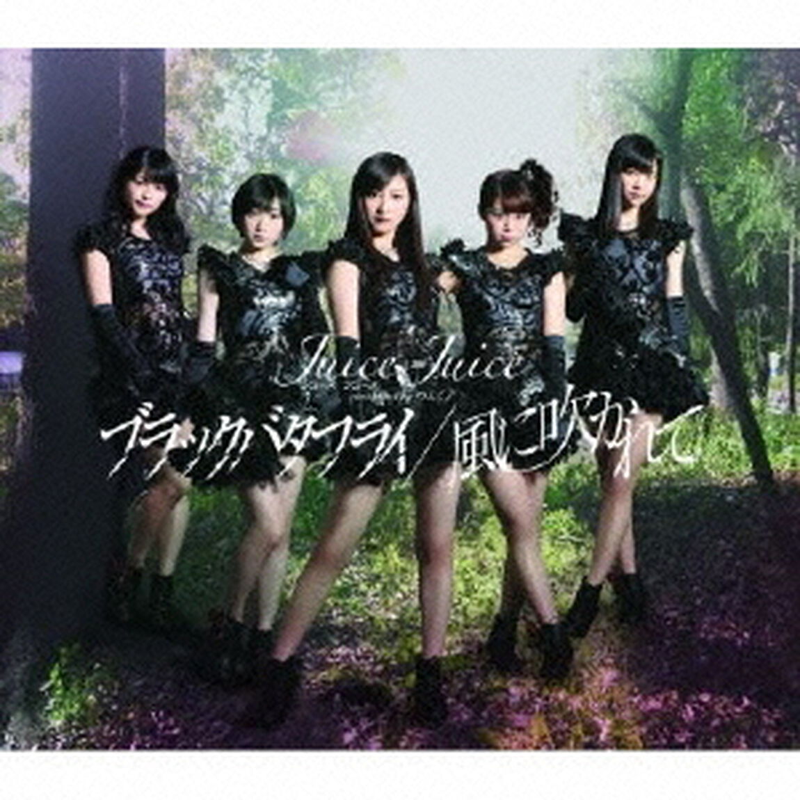 ブラックバタフライ／風に吹かれて（通常盤A）（CDシングル）