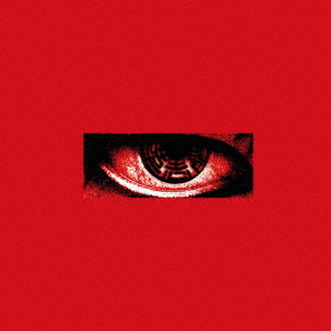 KWON　JI　YONG（ＣＤ）