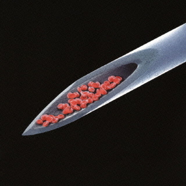 ライヴ・ブラッド（ＣＤ）