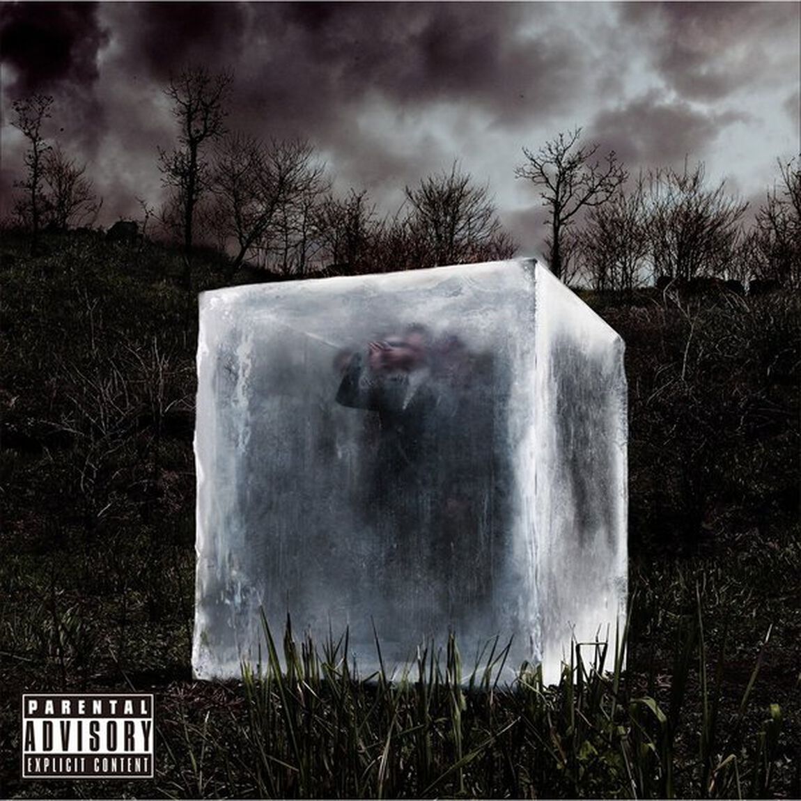 DIM（ＣＤ）