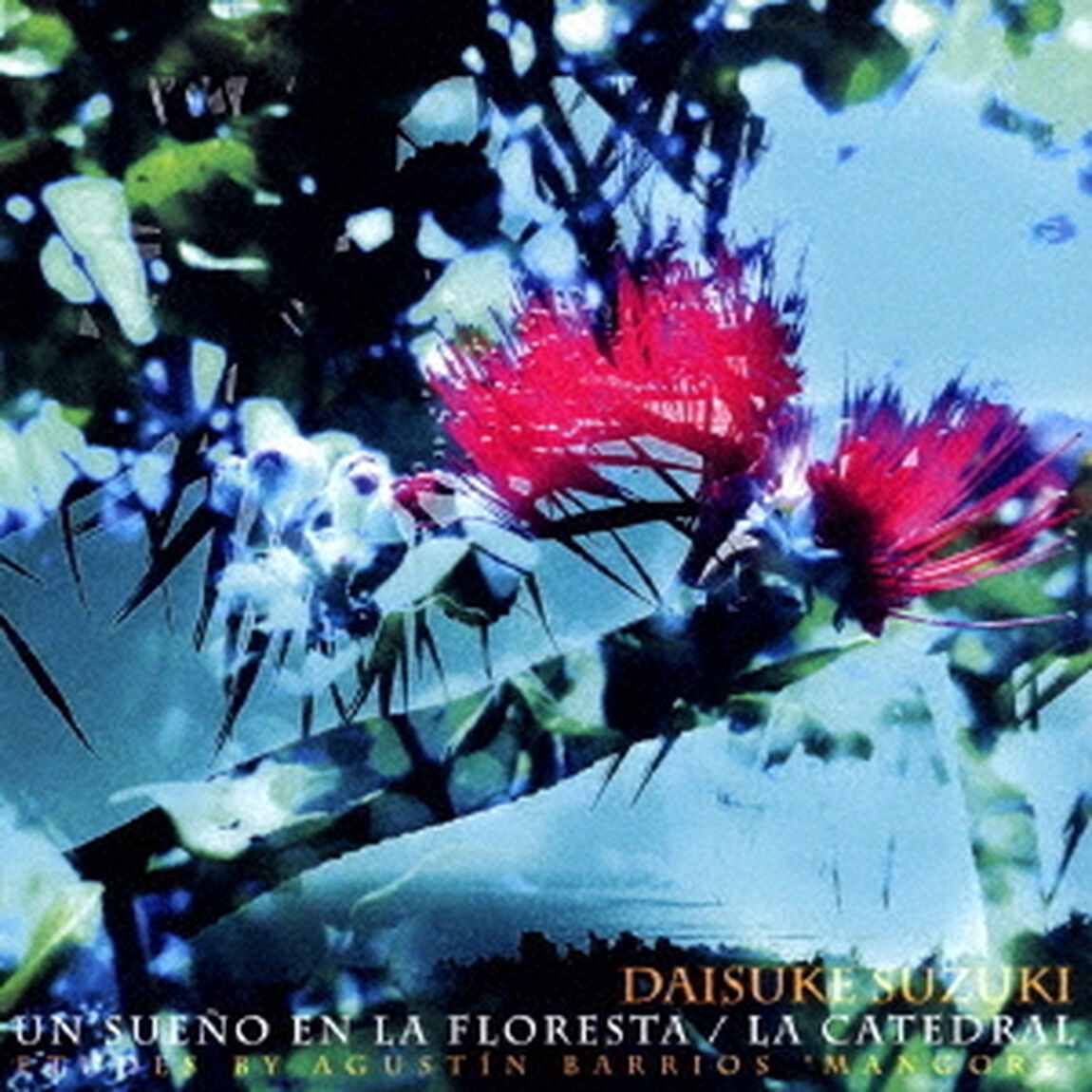 森に夢見る〜大聖堂〜バリオス練習曲集（ＣＤ）