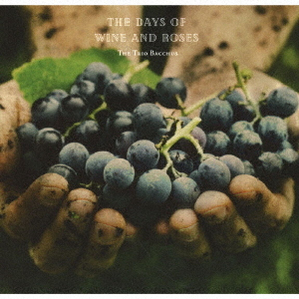 The　Days　of　Wine　and　Roses（ＣＤ）