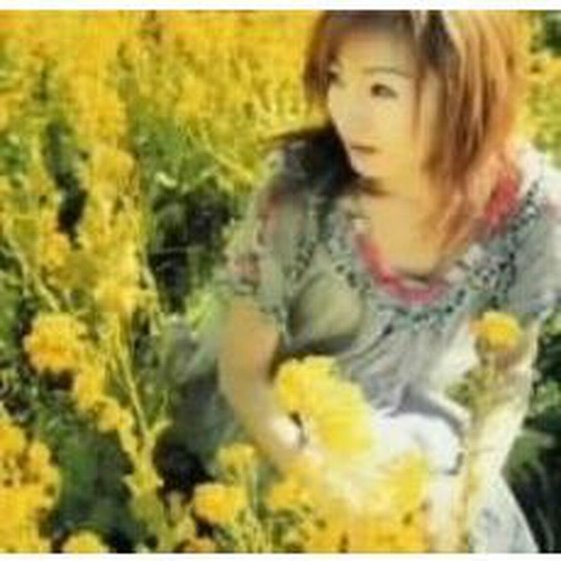 やさしい右手（ＣＤ）