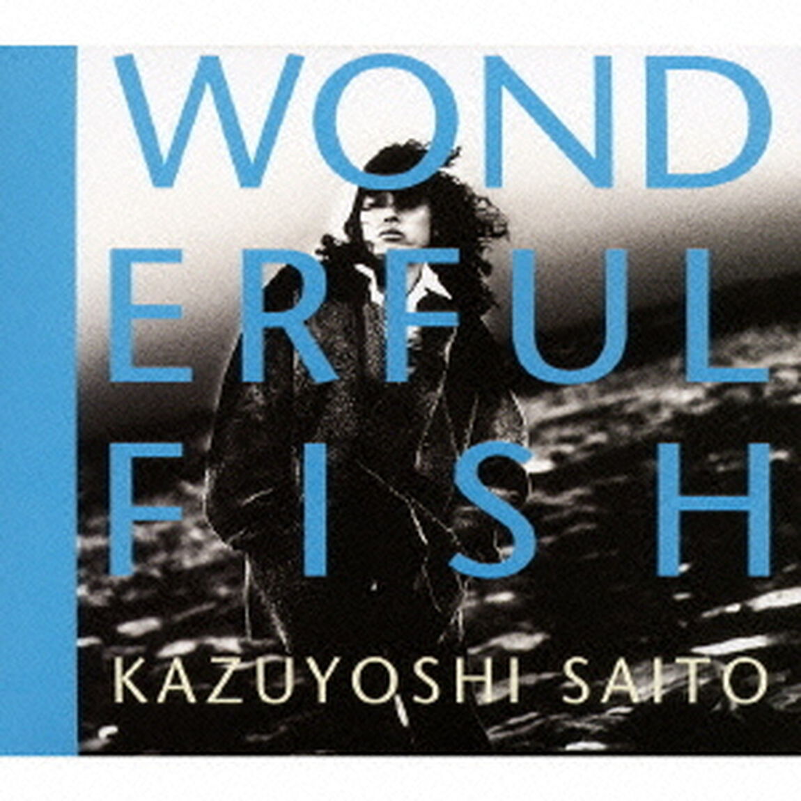 「WONDERFUL　FISH」（ＣＤ）