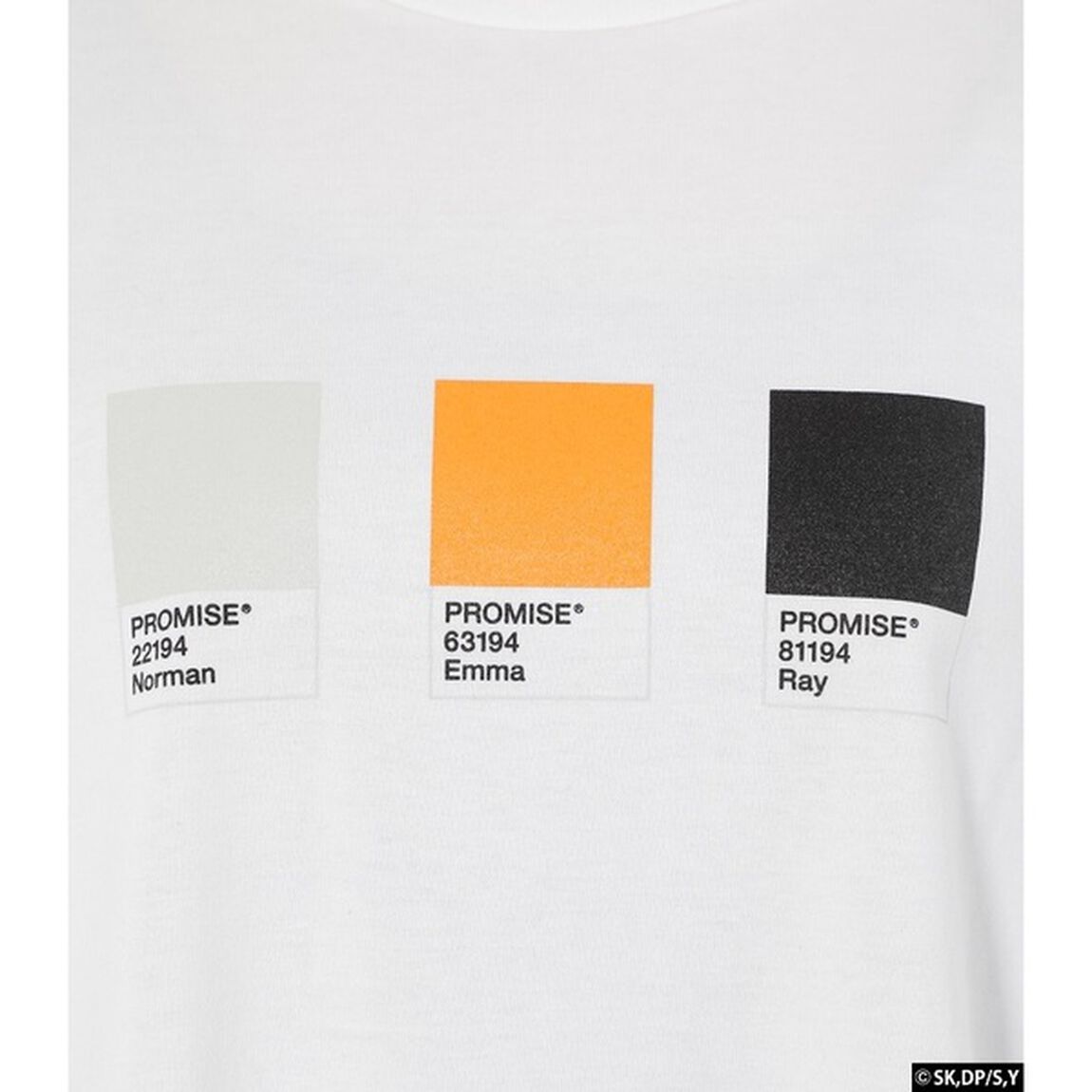 THE PROMISED PANTONE T　WHT S（その他）