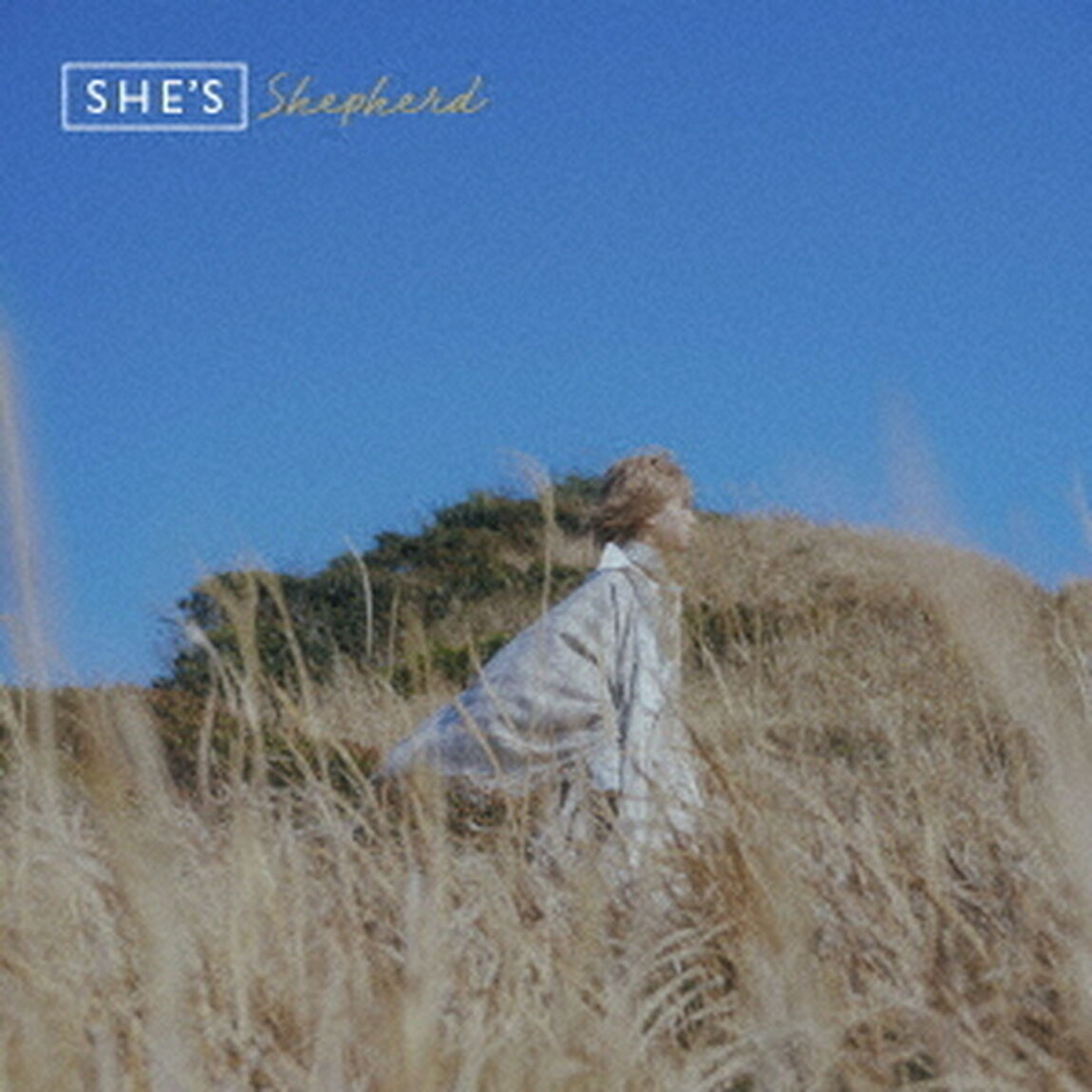 SHE'S／Shepherd (通常盤／CD)（ＣＤ）