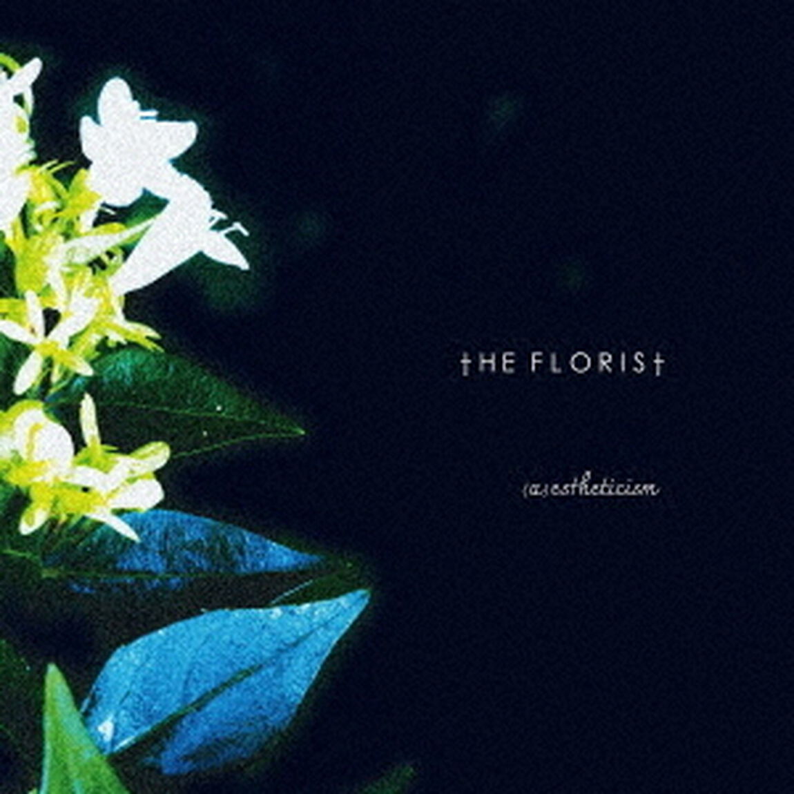 （a）estheticism（ＣＤ）