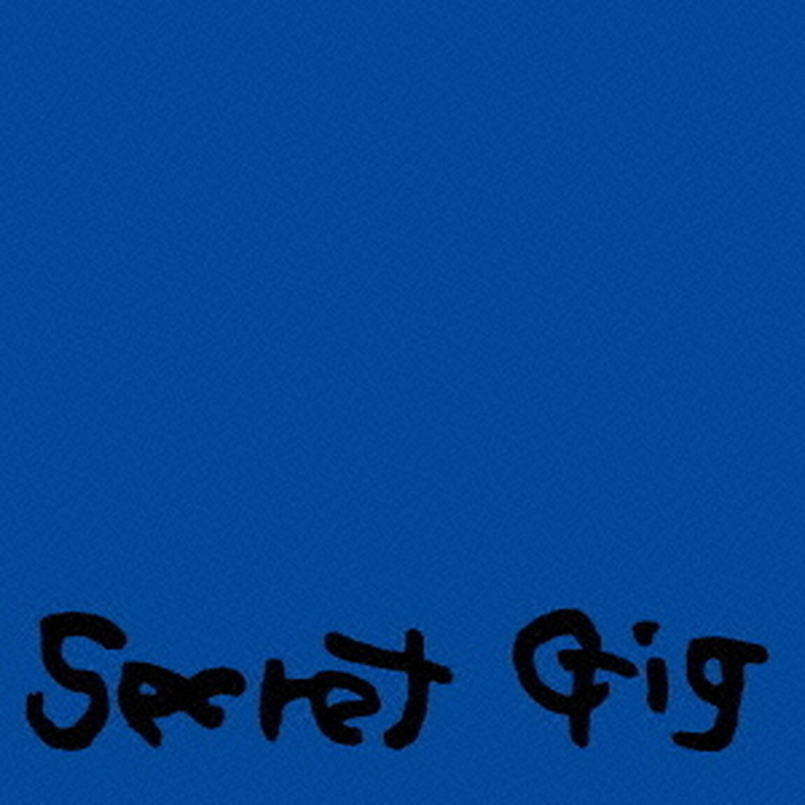 Secret　Gig（ＣＤ）