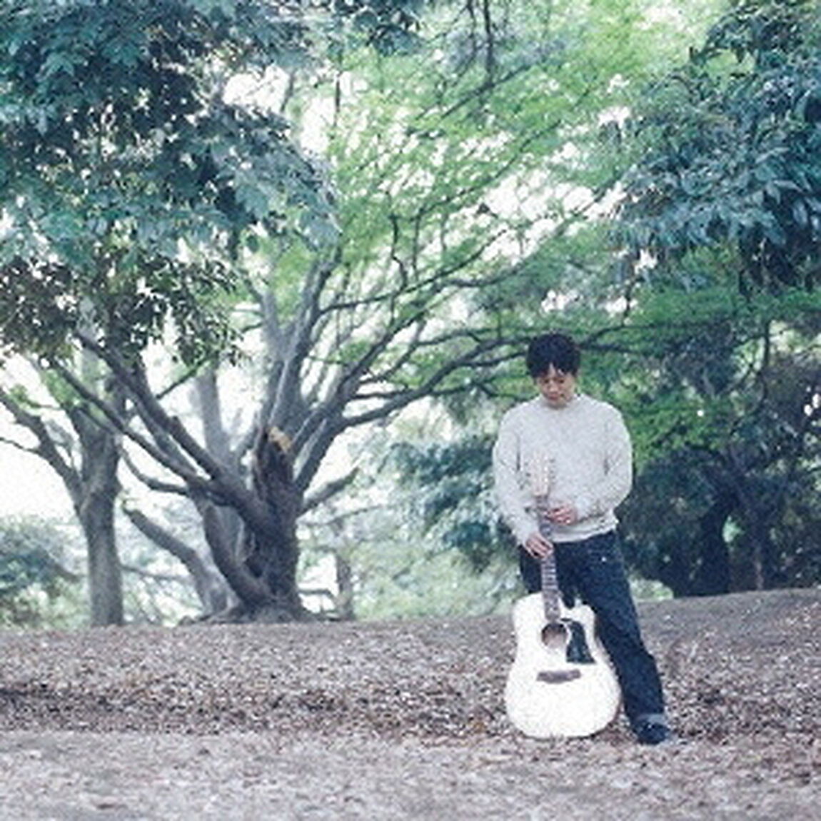 ウルトラモンテイン（ＣＤ）
