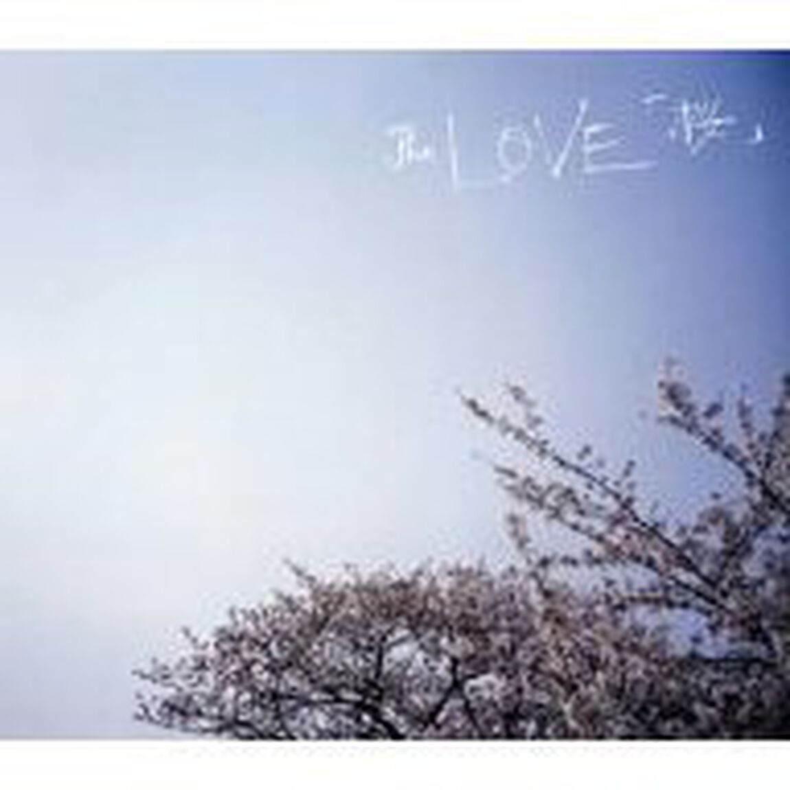 桜／さくら（ＣＤ）