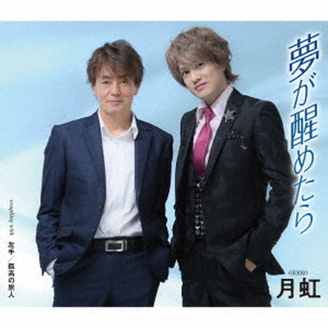 夢が醒めたら／左手／孤高の旅人（ＣＤ）
