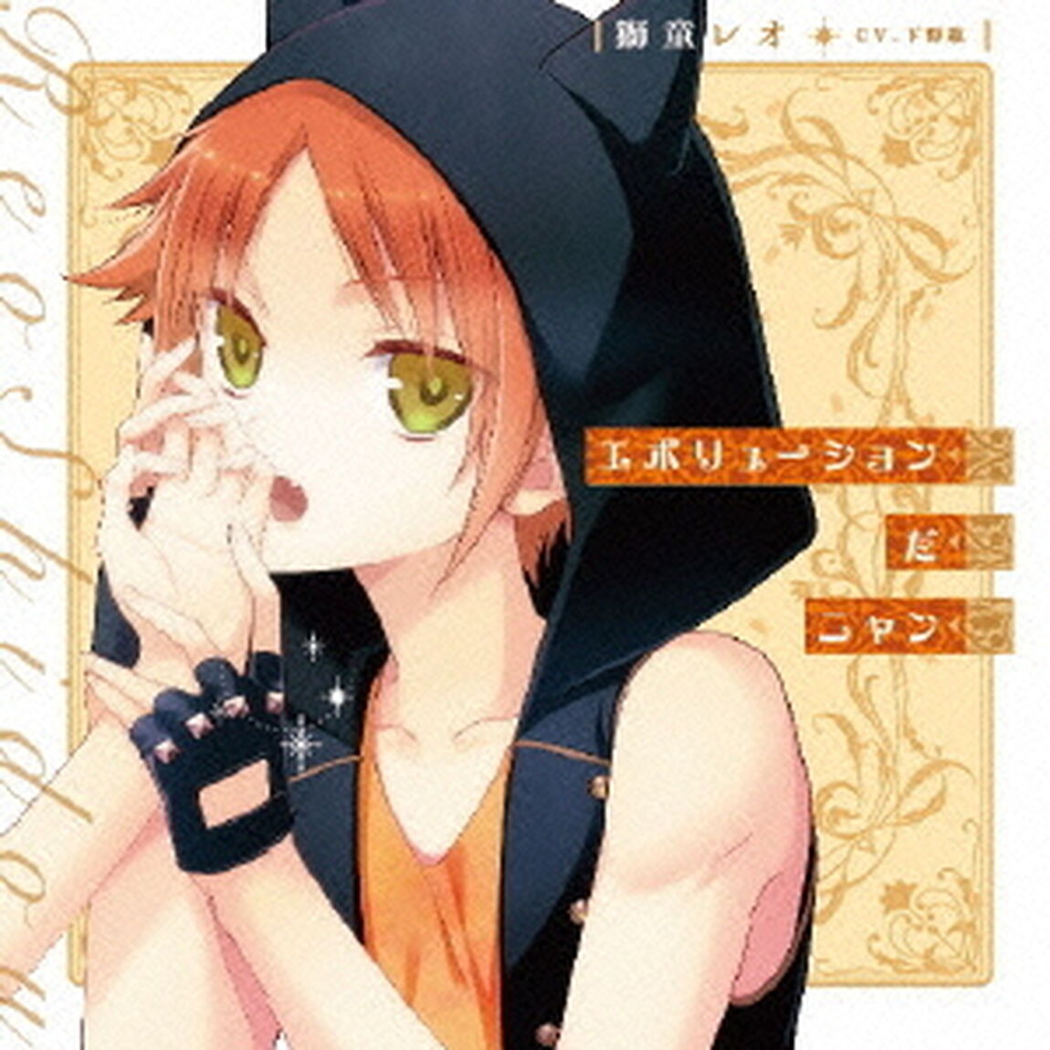 エボリューションだニャン（ＣＤ）