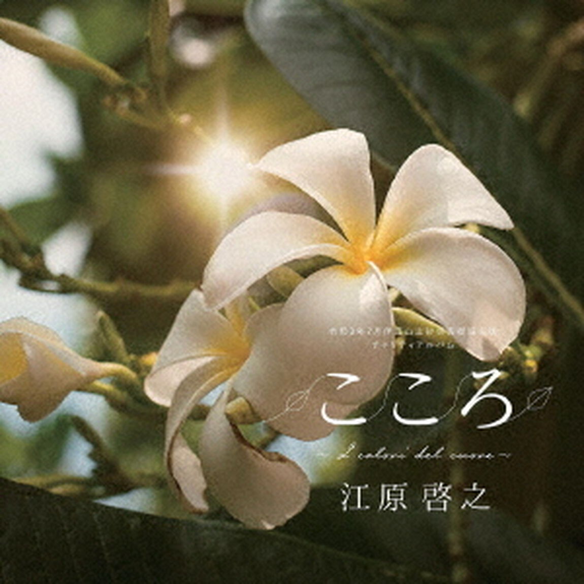 令和3年7月伊豆山土砂災害復旧支援チャリティアルバム　こころ　〜I　colori　del　cuore〜（ＣＤ）