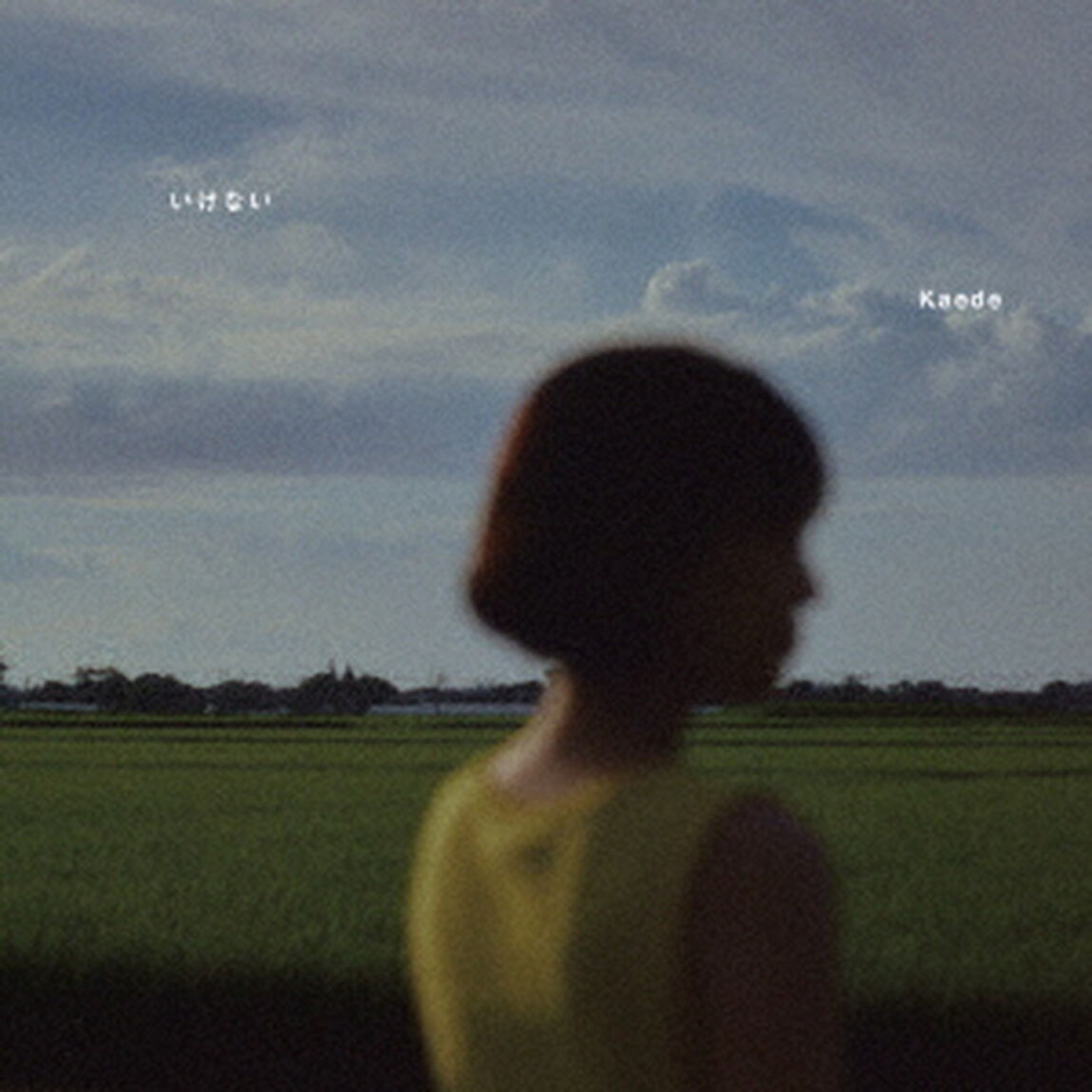 いけない（ＣＤ）