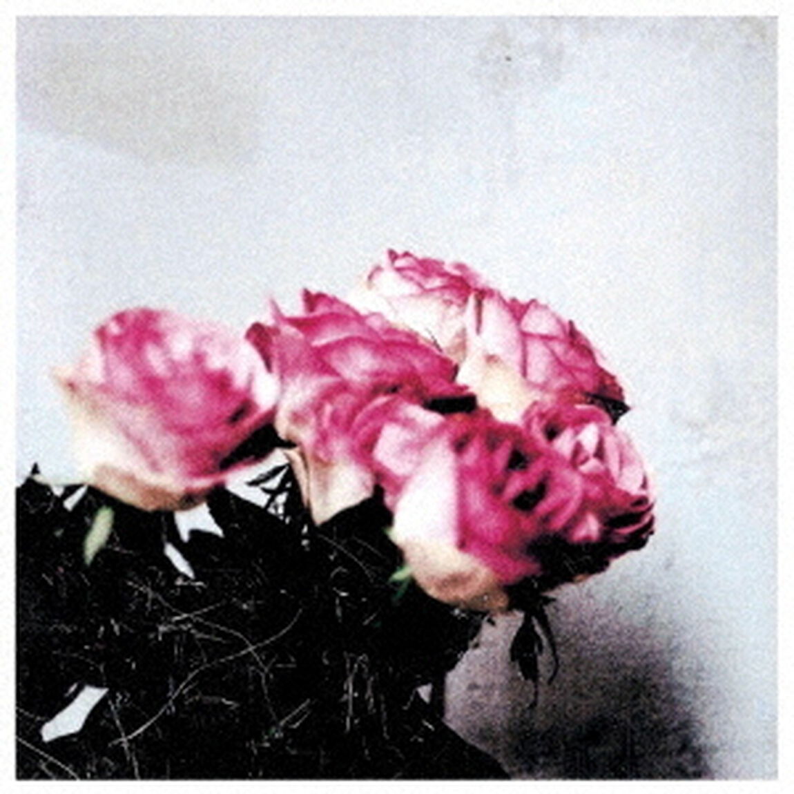 Love　Logic（ＣＤ）