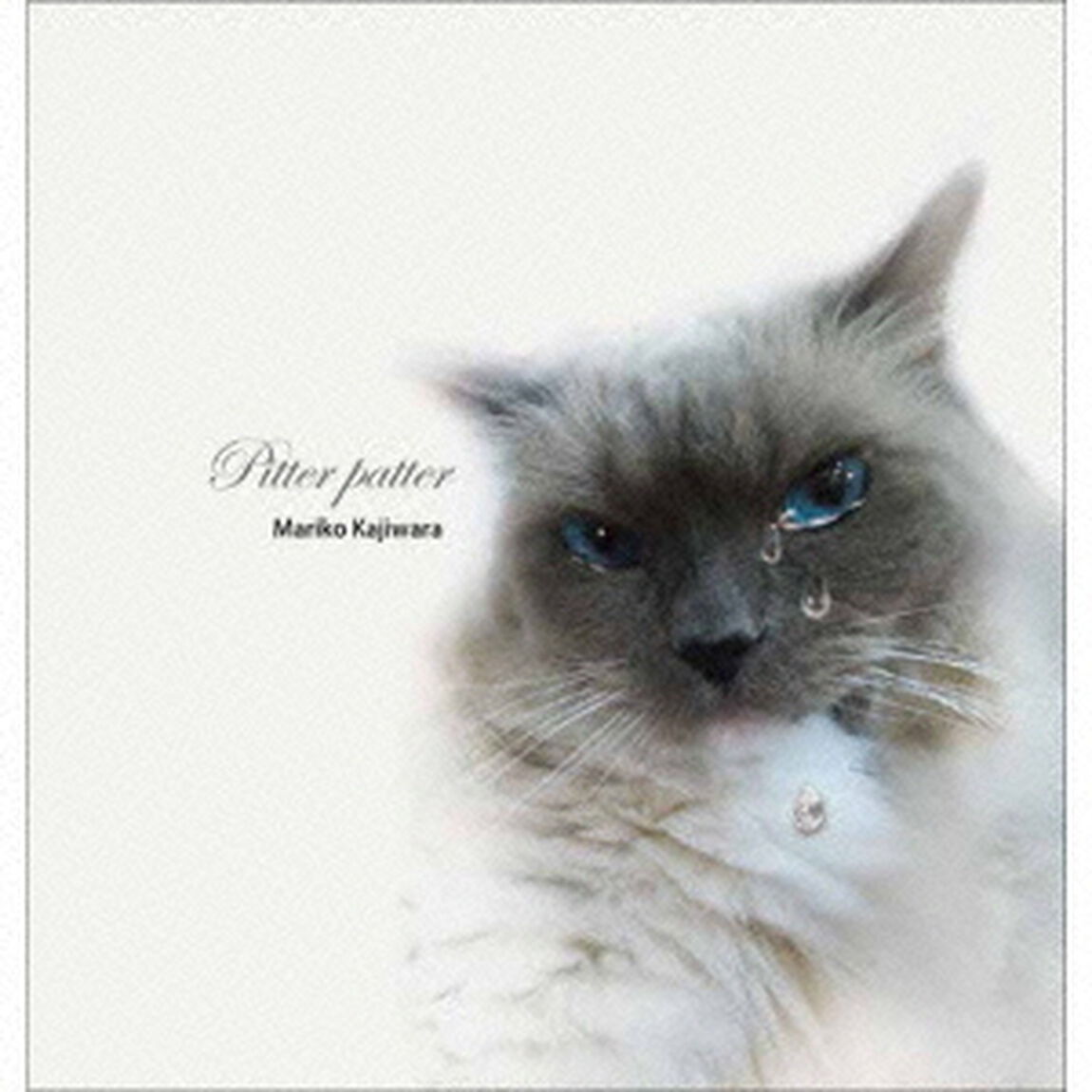 PITTER　PATTER（ＣＤ）
