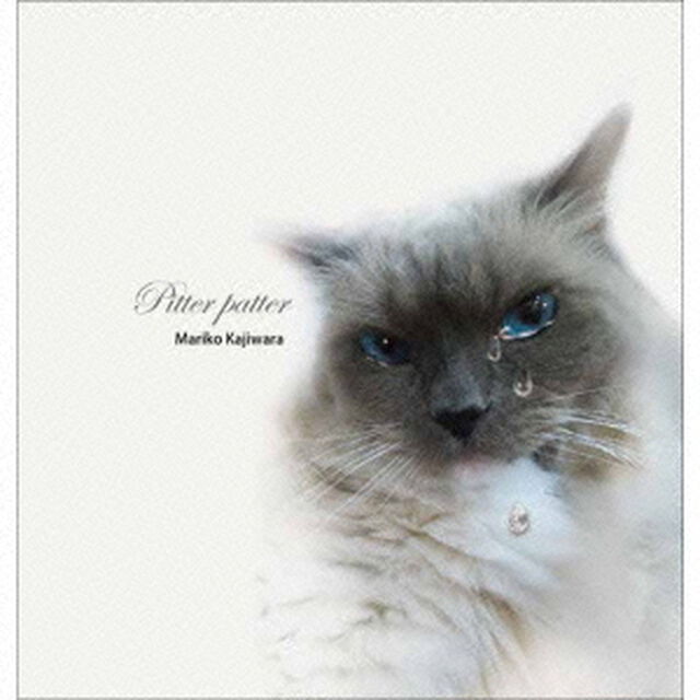 PITTER　PATTER（ＣＤ）