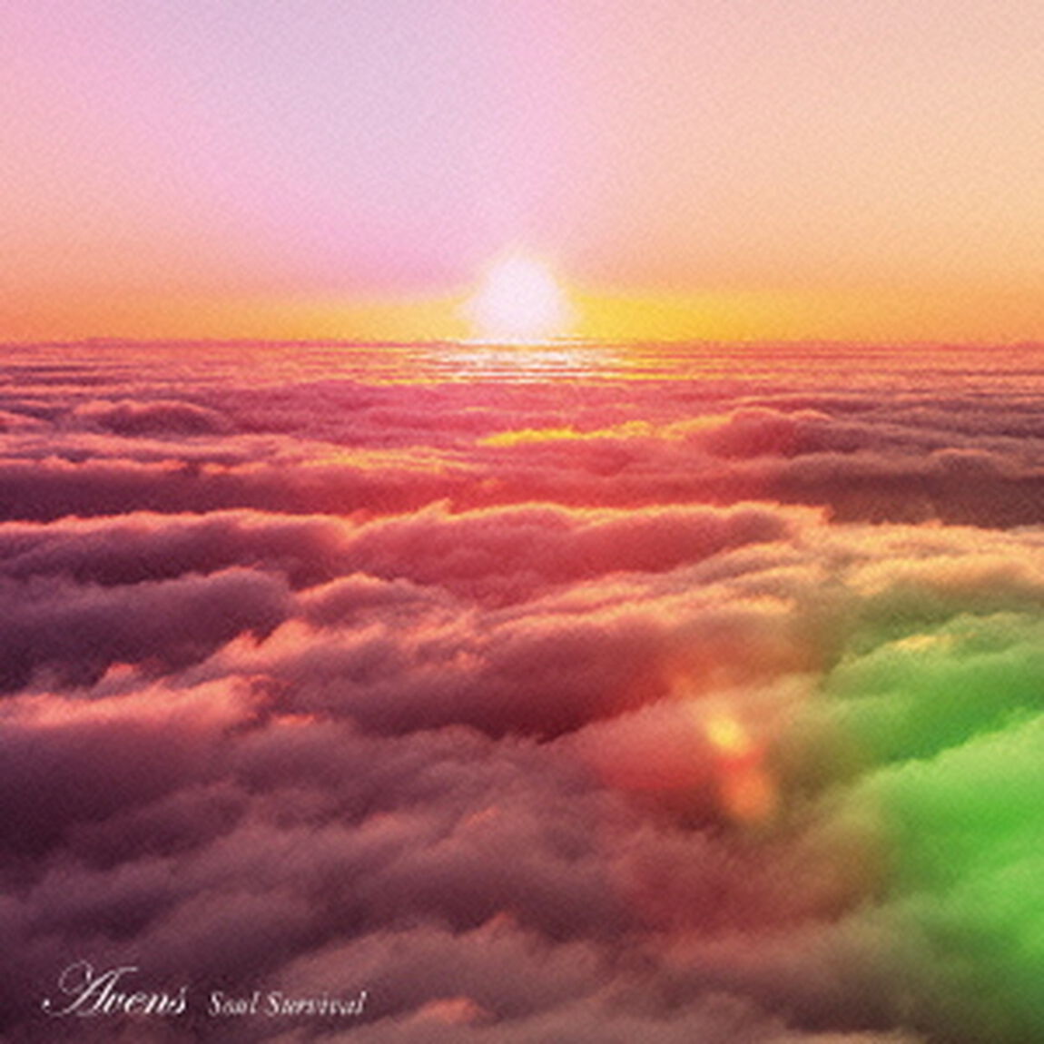 Soul　Survival（ＣＤ）