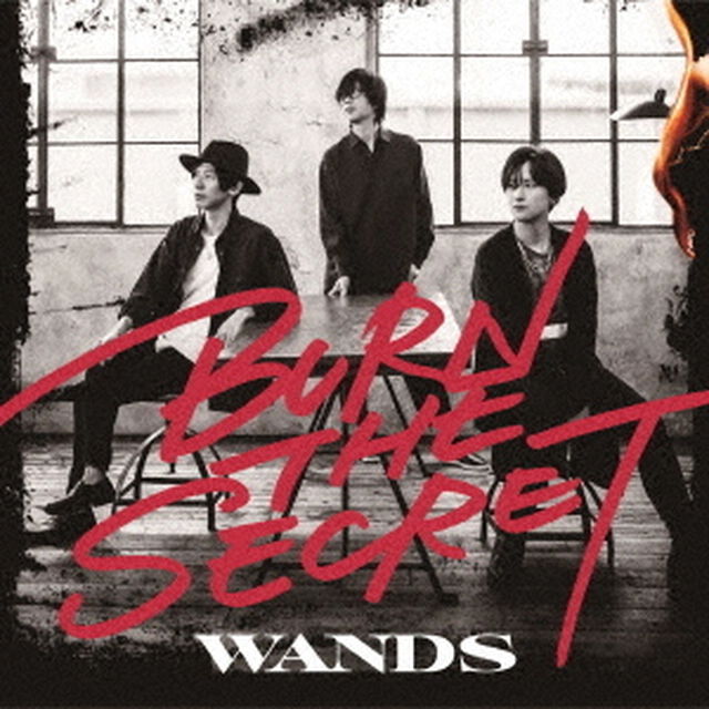 WANDS／BURN　THE　SECRET（通常盤／CD)（ＣＤ）