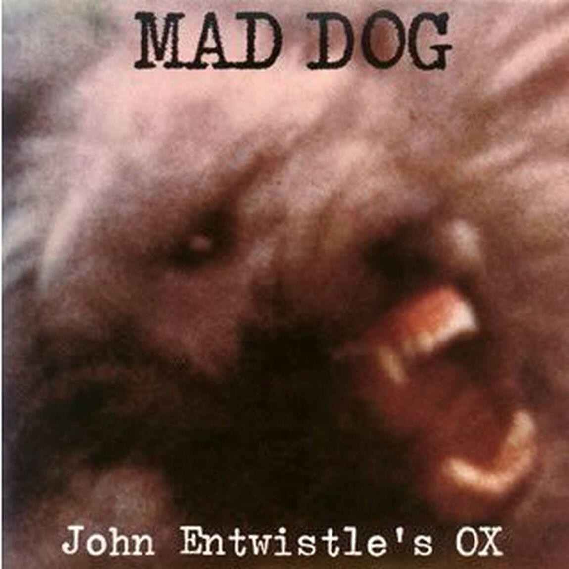 マッド・ドッグ（ＣＤ）