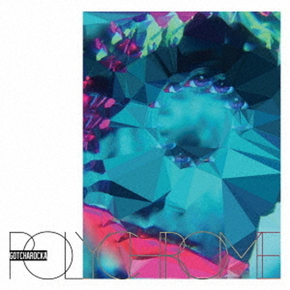 POLYCHROME（ＣＤ）