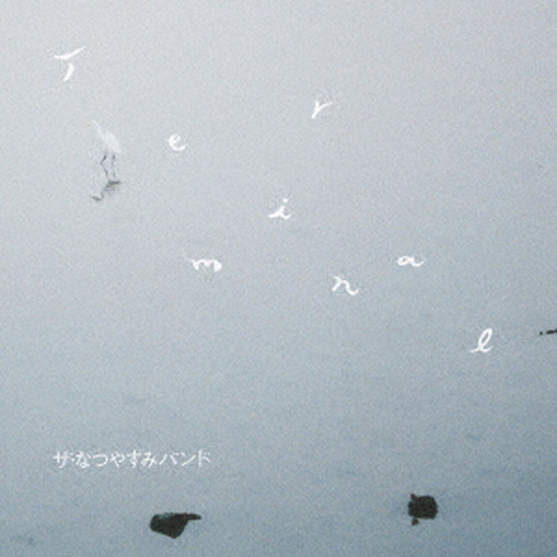 Terminal（ＣＤ）