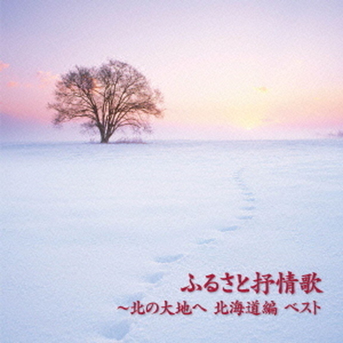 ふるさと叙情歌〜北の大地へ　北海道編　ベスト　キング・ベスト・セレクト・ライブラリー2013（ＣＤ）
