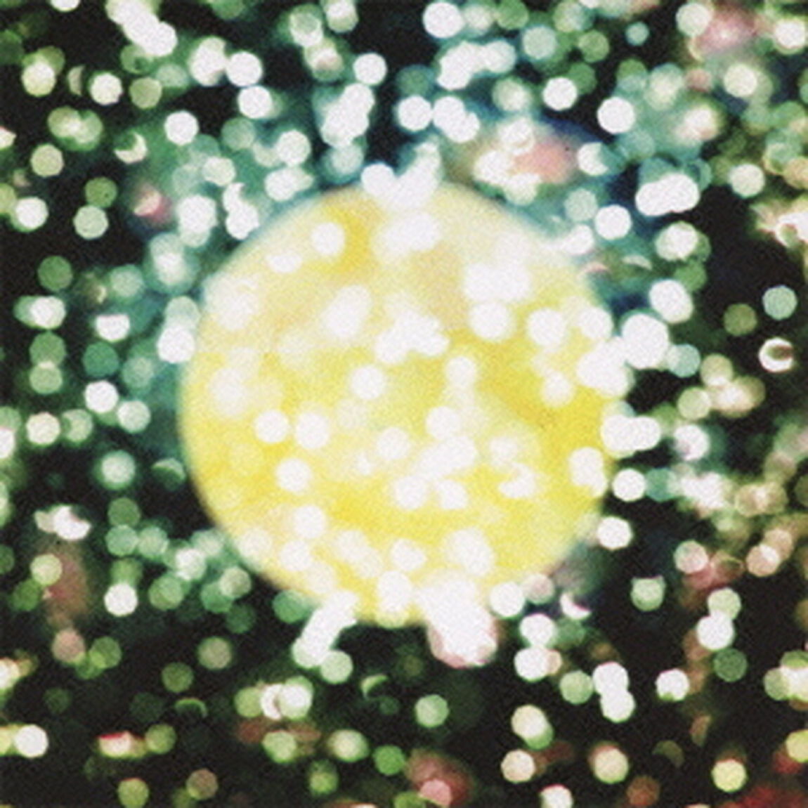 ムーンライト――――。（ＣＤ）
