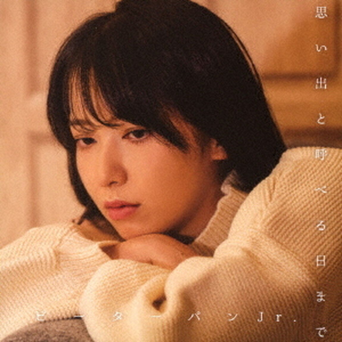 思い出と呼べる日まで（ＣＤ）