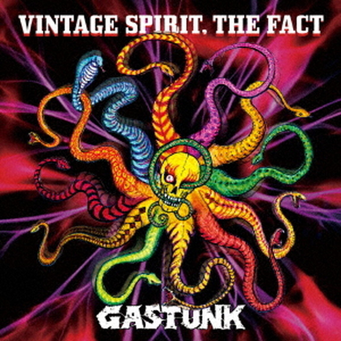 VINTAGE　SPIRIT，　THE　FACT（ＣＤ）