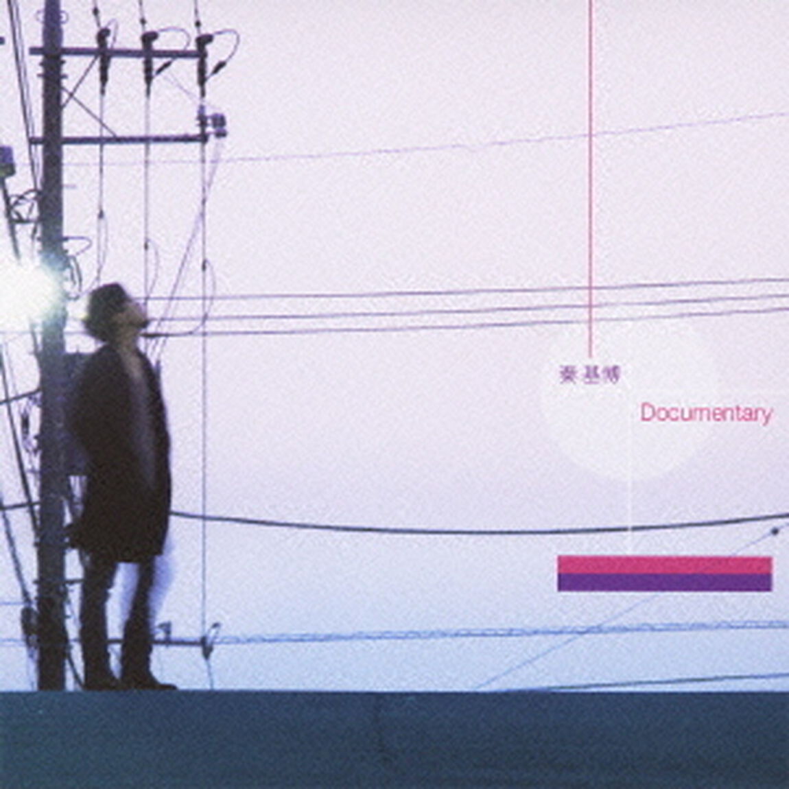 Documentary（ＣＤ）