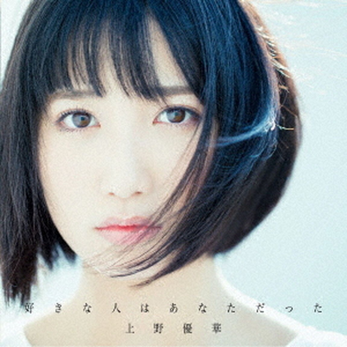 好きな人はあなただった（ＣＤ）