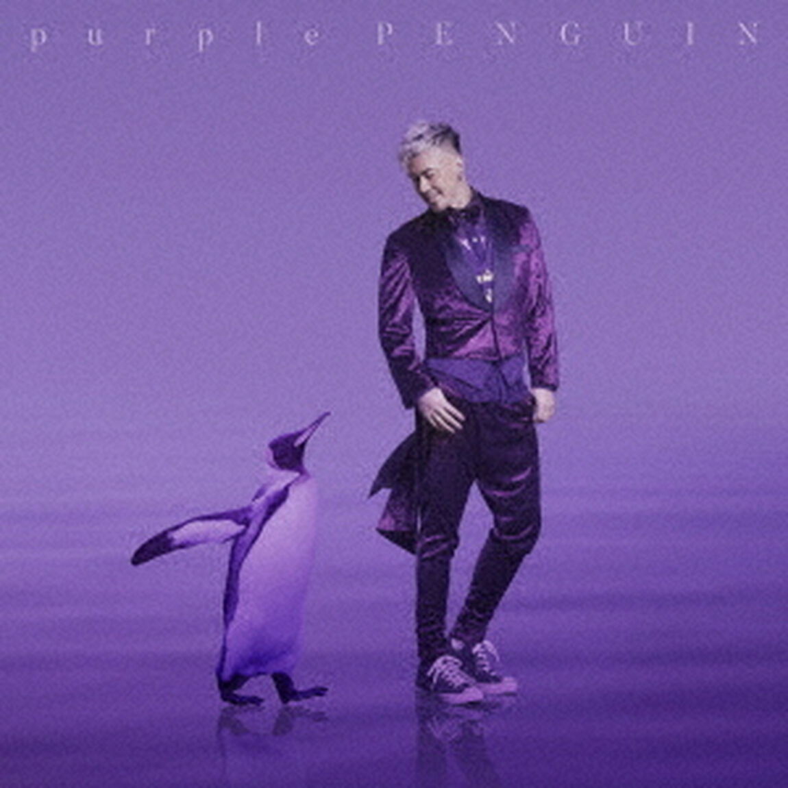purple　PENGUIN（ＣＤ）