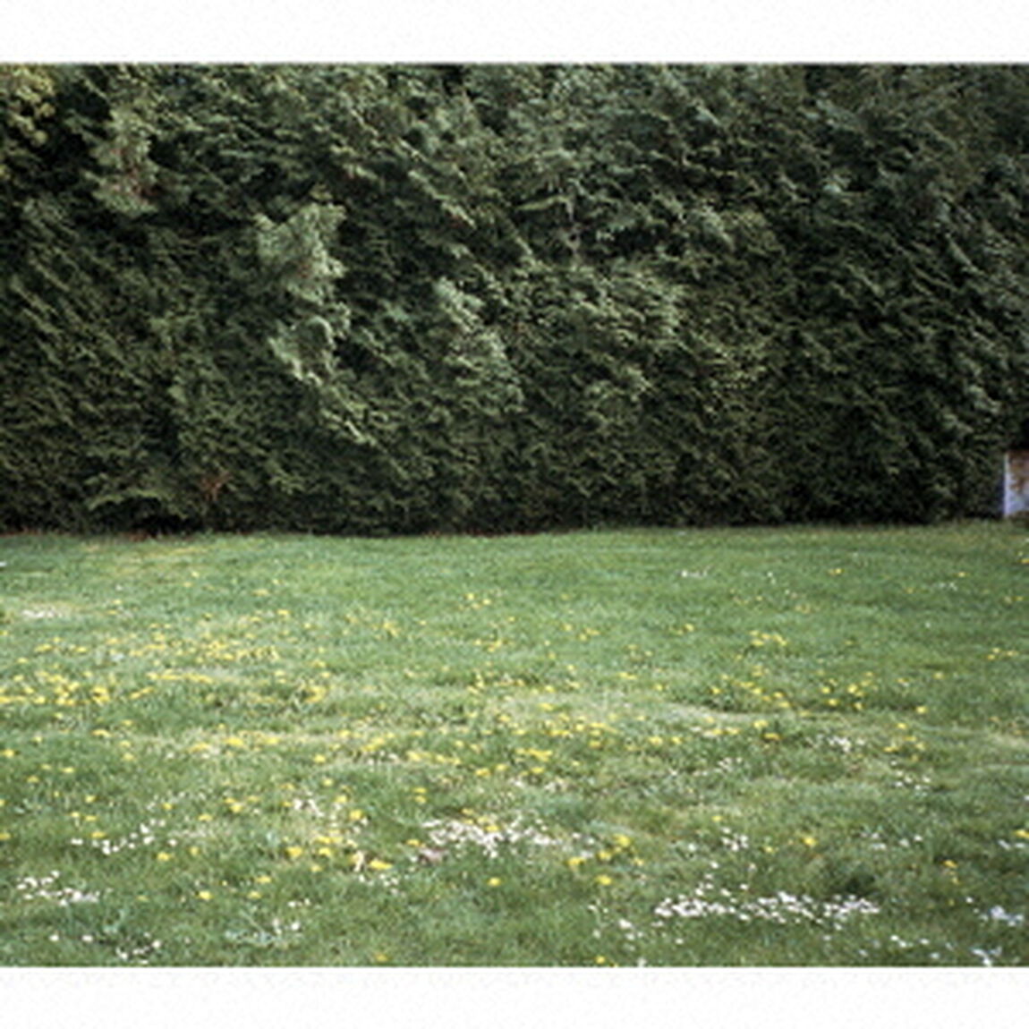 Ghosts（ＣＤ）