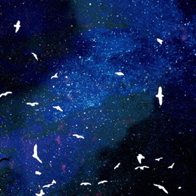 The　Songs　of　the　Circling　Stars（ＣＤ）