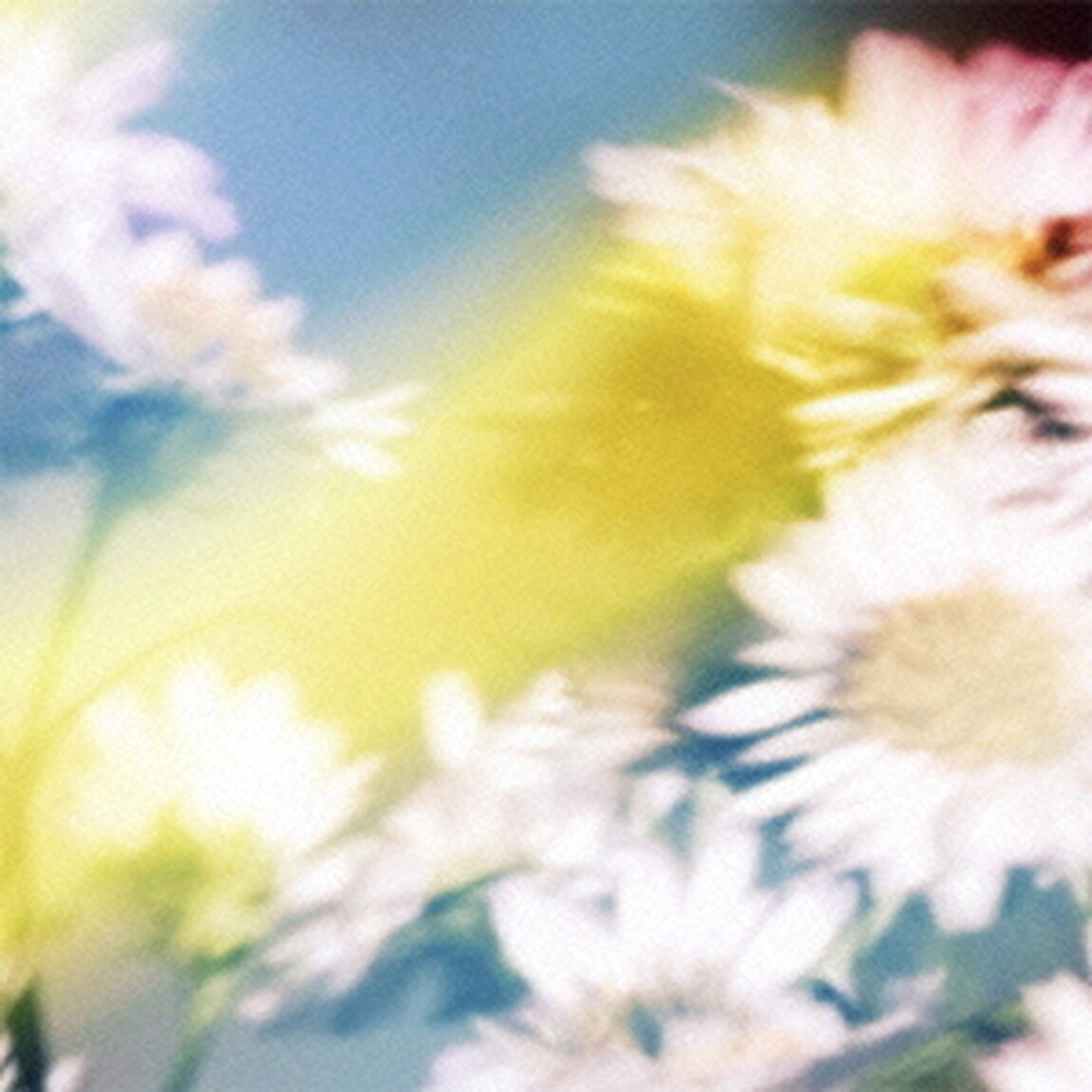 シオン（ＣＤ）