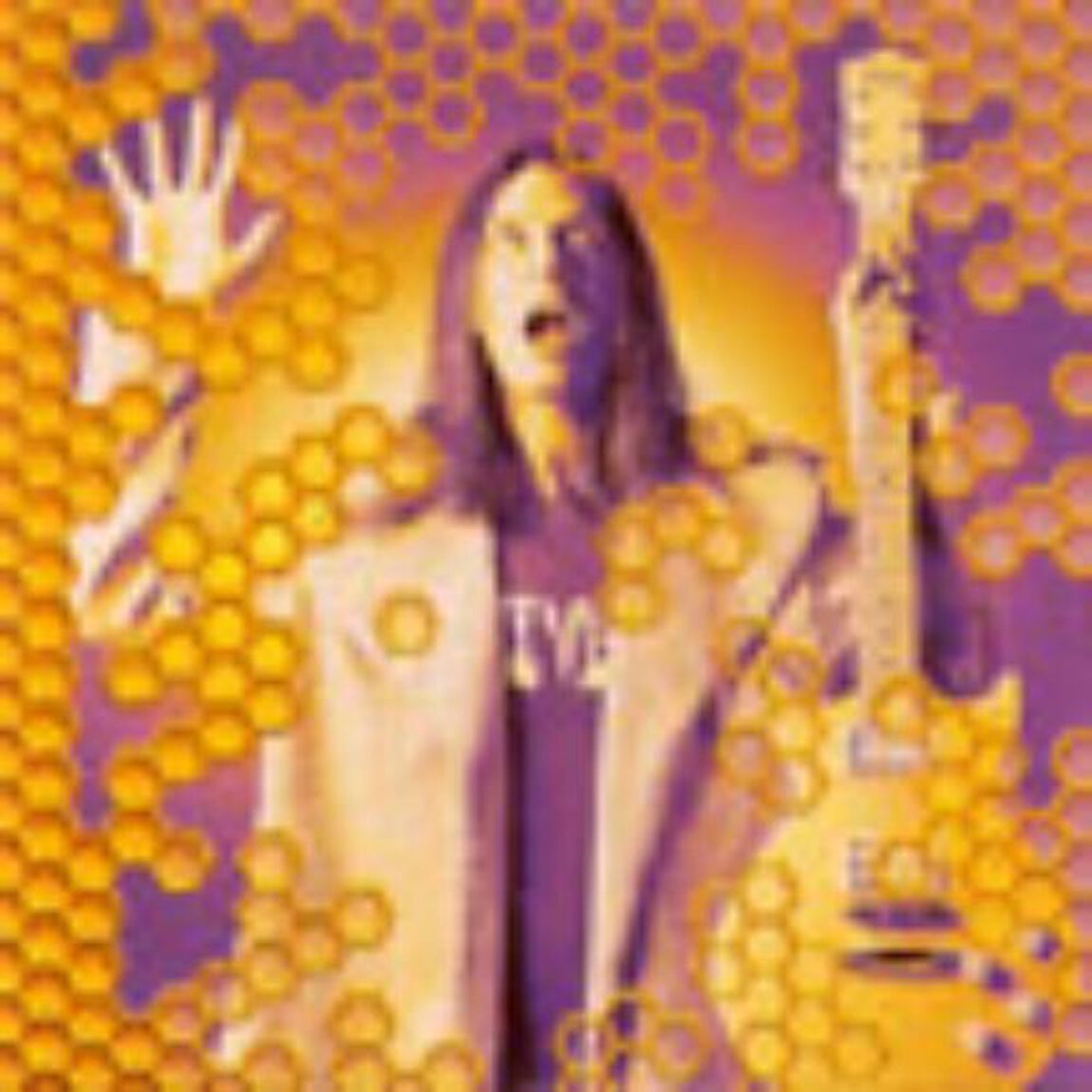 ビ－ハイヴ・ライヴ！〜TOKYO　1999（ＣＤ）