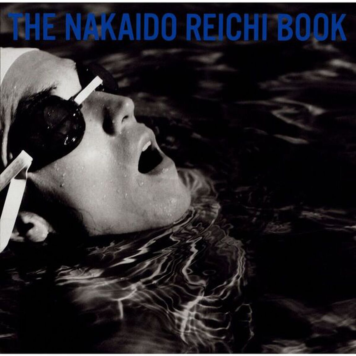 仲井戸麗市／THE仲井戸麗市BOOK（2LP／アナログ盤）（LP盤（アナログ盤））