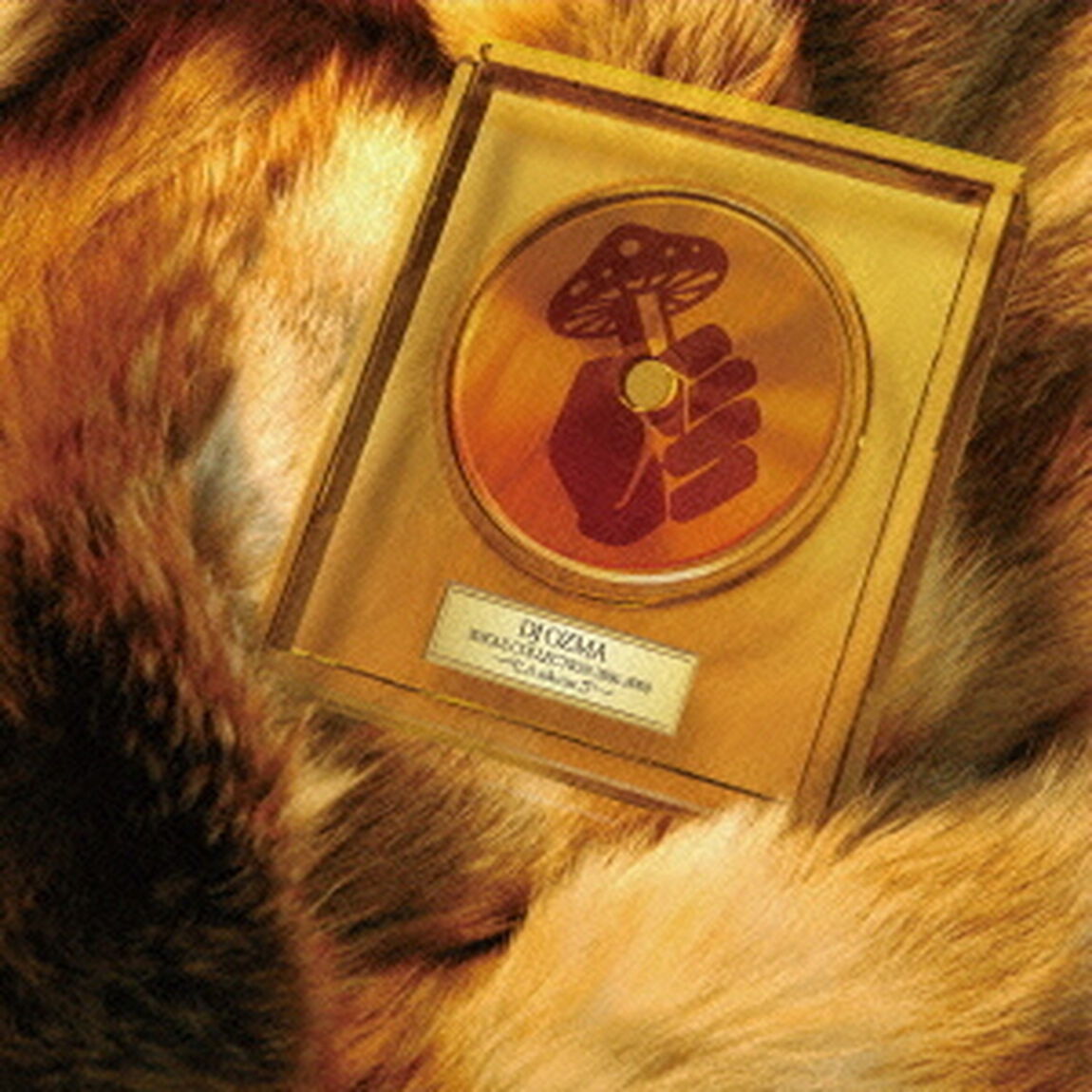 SINGLE　COLLECTION　2006－2008　〜A－side　trax〜（ＣＤ）