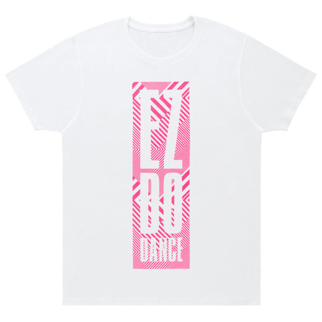 TRF／Tシャツ(XL)(a-nation2016)（その他）