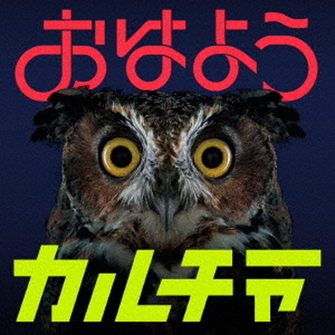 go！go！vanillas／おはようカルチャー（通常盤）（ＣＤ）