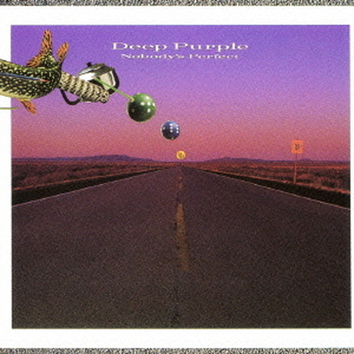ノーバディーズ・パーフェクト（ＣＤ）