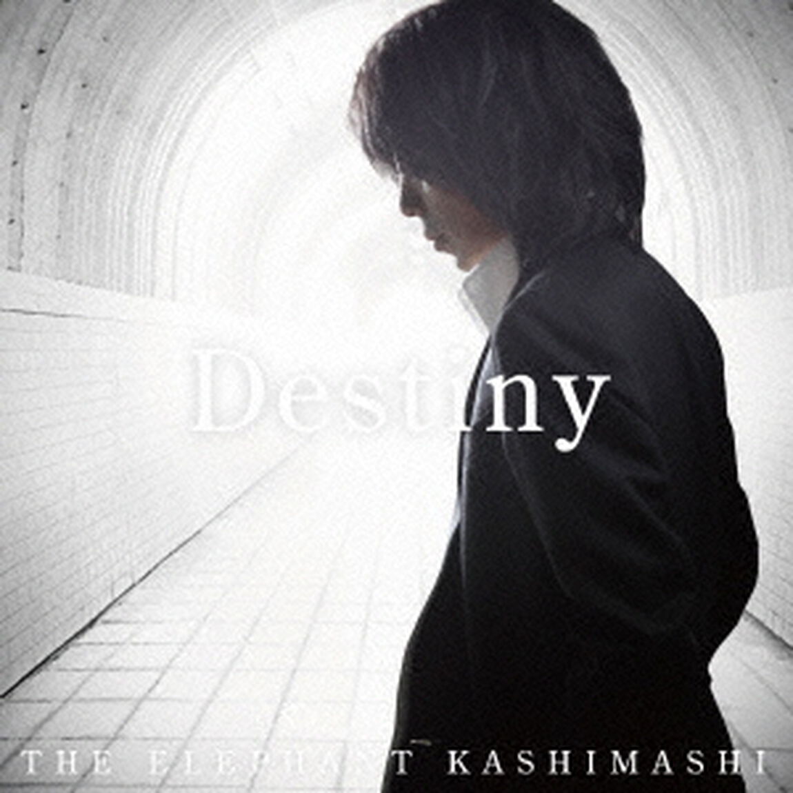 Destiny（ＣＤ）