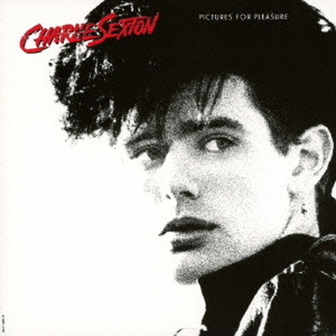 ピクチャーズ・フォー・プレジャー　＋1（ＣＤ）