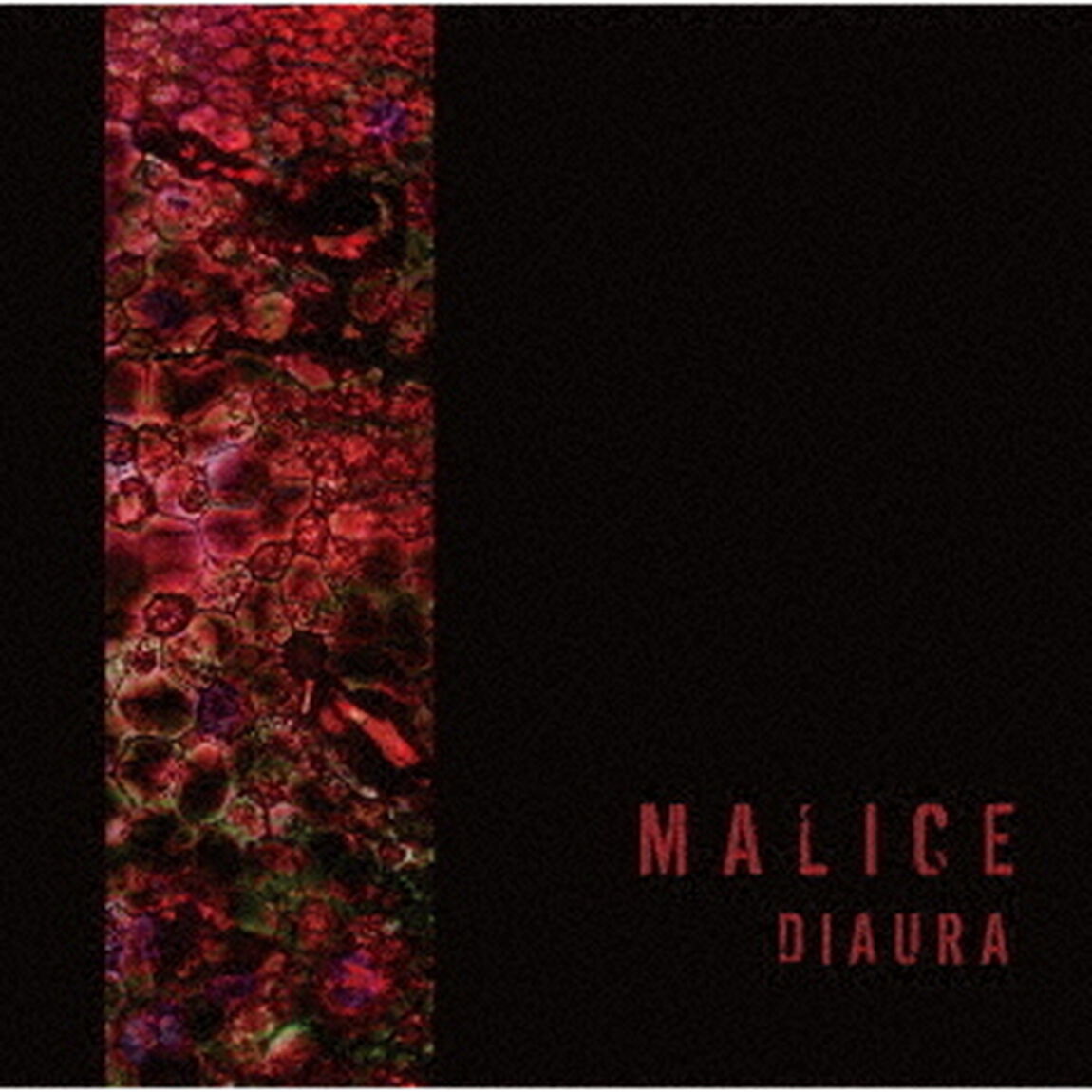 MALICE（ＣＤ）