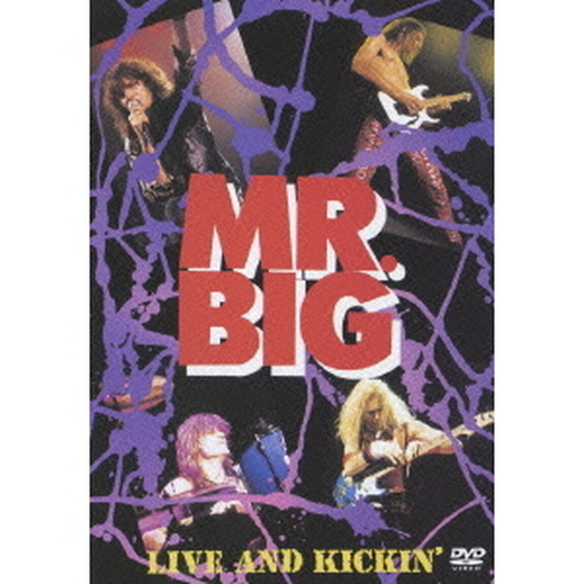 ライヴ・アンド・キッキン（ＤＶＤ）