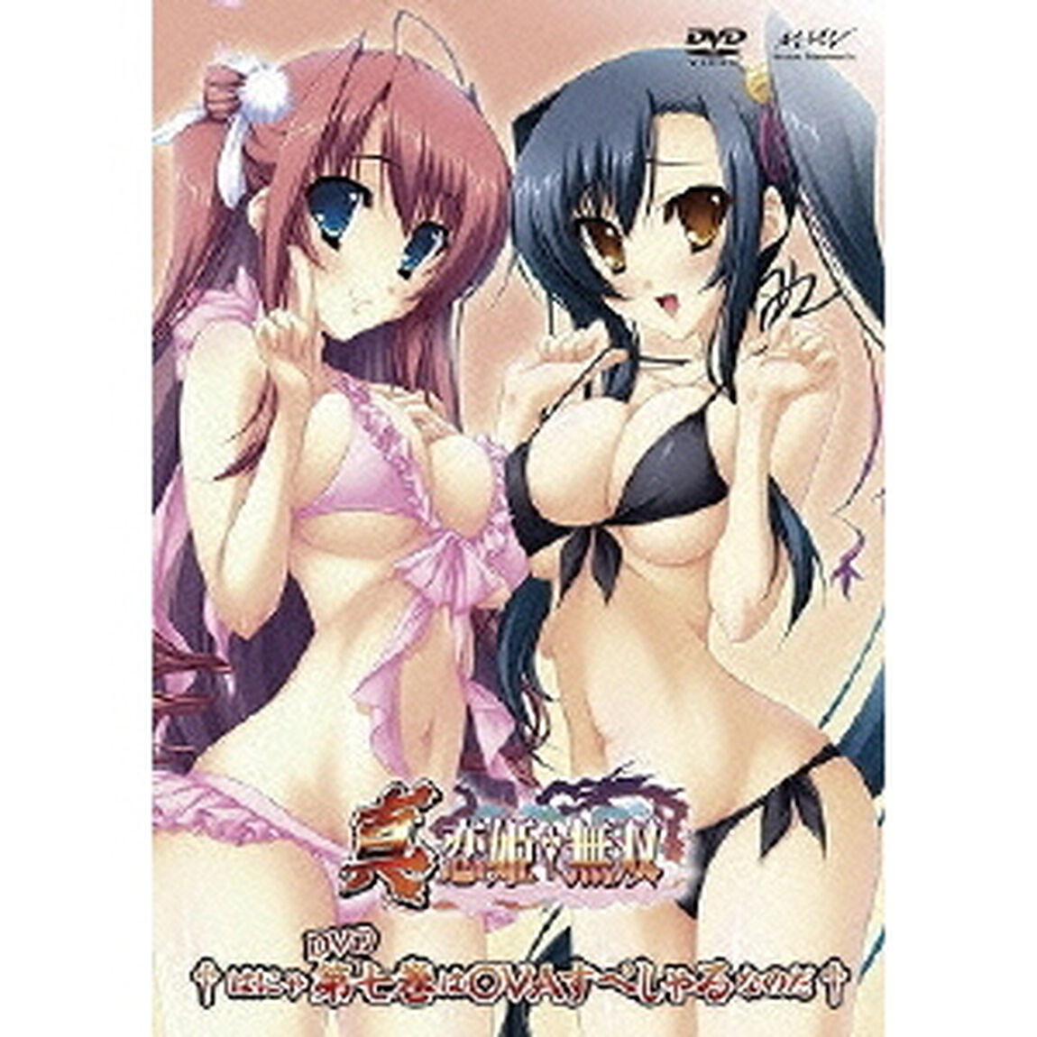 真・恋姫&dagger;無双 七 DVD生産限定特装版（ＤＶＤ）
