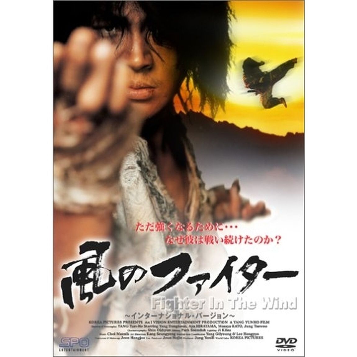 風のファイター（ＤＶＤ）