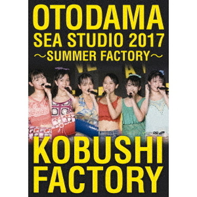 OTODAMA　SEA　STUDIO　2017　〜SUMMER　FACTORY〜（ＤＶＤ）